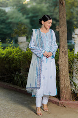Ikkat with ethnic