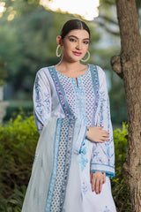 Ikkat with ethnic